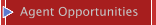 Agent Opportunities